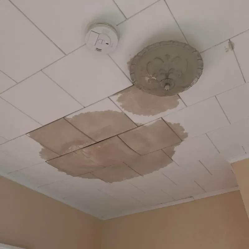 Ceiling Water Damage Repair in Perth, NY