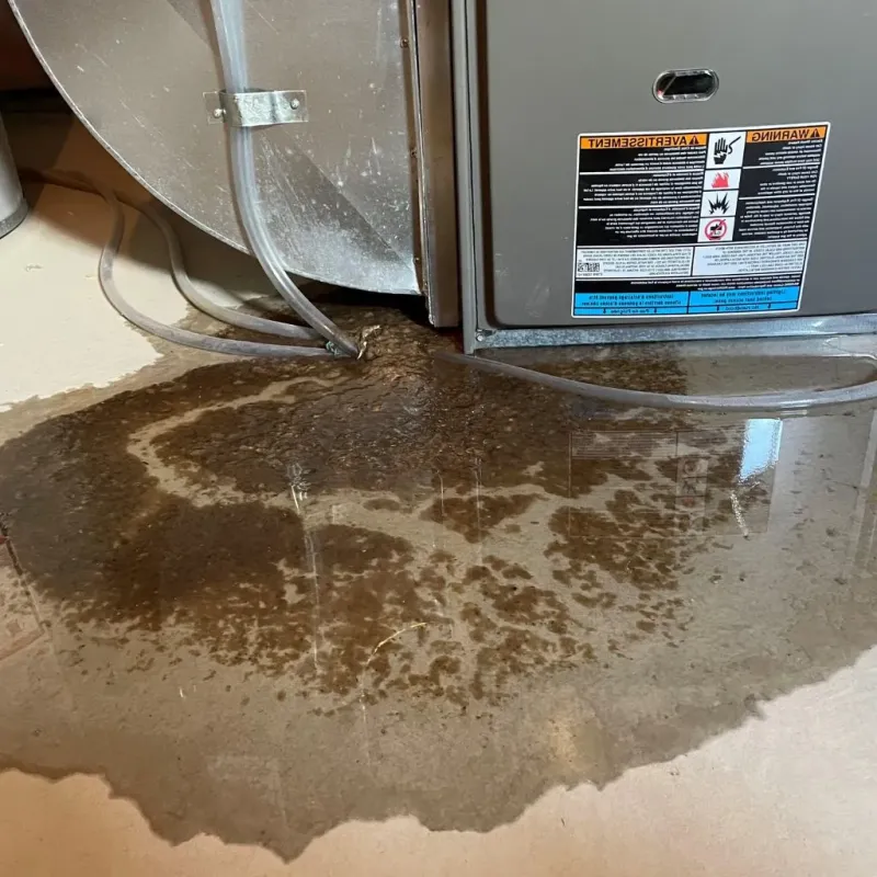 Pipe Burst and Leak Restoration in Perth, NY