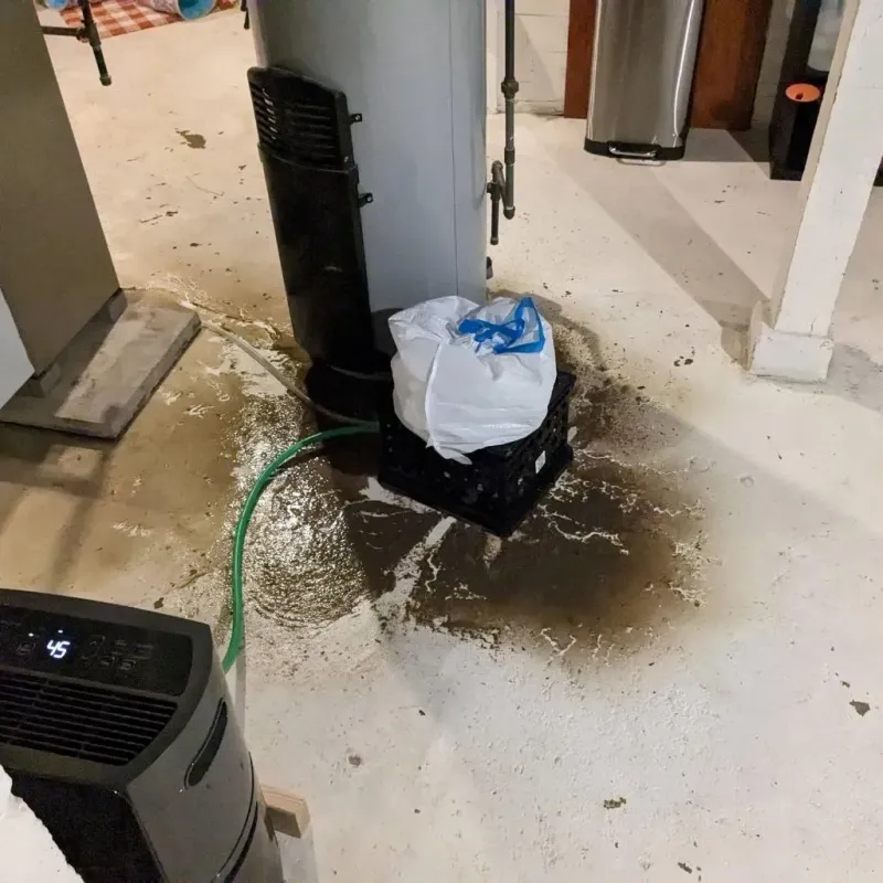 Sewage Backup Cleanup Service in Perth, NY